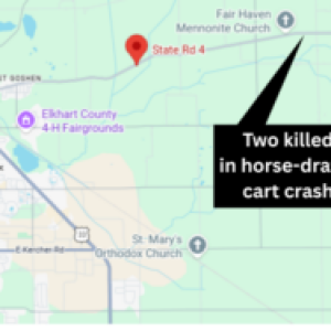 Two-killed-in-horse-drawn-cart-crash-300x188.png